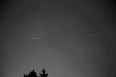 Startrail Canon 700D | 20 minutes  f4 @ ISO 800 