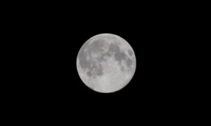 Supermoon from Fairvale Observatory 10th August 2014 Canon 700D | 200mm telephoto | 1/160th f11 ISO200   
