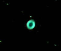 M57 Ring Nebula, close-up with polar alignment. Canon 700D | 24x30sec @ ISO 1,600