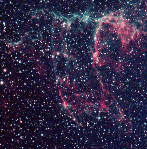 NGC 6995 AKA The Bat Nebula (look carefully and you'll see him!)