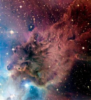 Fox Fur Nebula