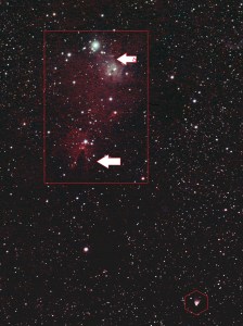 NGC 2264 Christmas Tree Nebula shown by red box. Lower arrow points to the Cone Nebula, upper arrow indicates location of the Fox Fur Nebula. NGC 2261 Hubble's Variable Nebula shown by red hexagon. 