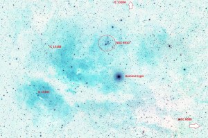 IC 1318 Sadr Region - image inverted & annotated
