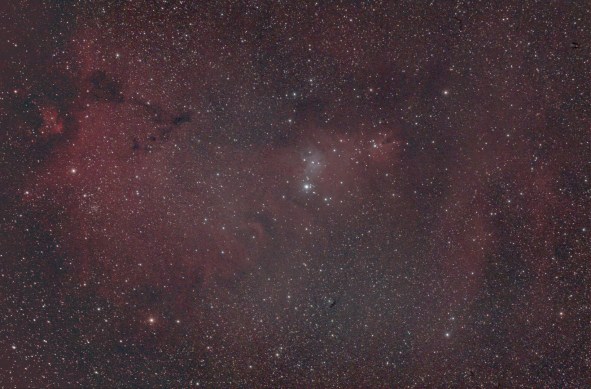 Cone Nebula & Christmas Tree Cluster WO GT81 + Modded Canon 550D & FF | 15 sec @ ISO 1,600 + calibration | 8th December 2015 