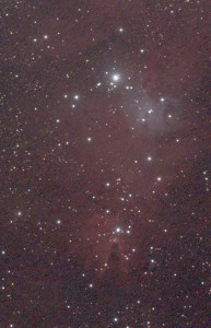Cone Nebula (bottom centre) & Christmas Tree Cluster (inverted)