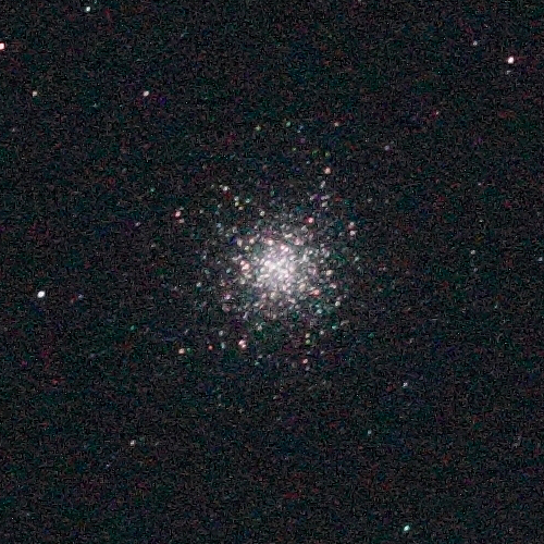 IMG_0023crop