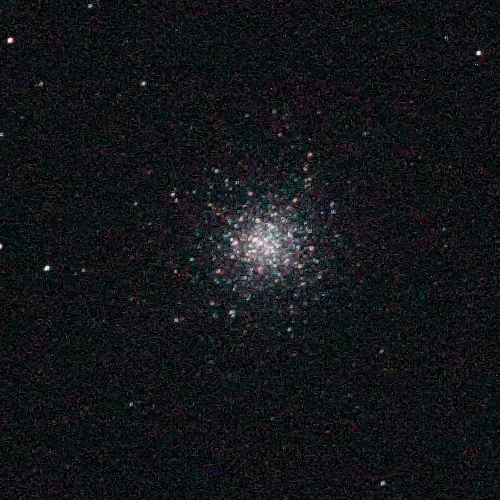 IMG_0026crop