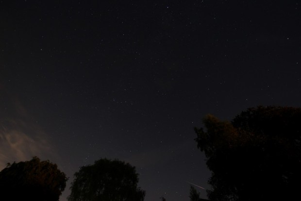 IMG_7303 (Medium) (2)