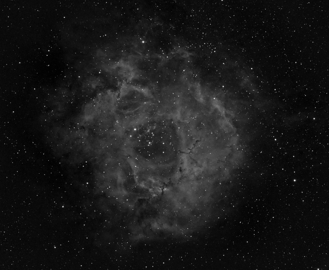 Picture saved with settings embedded.