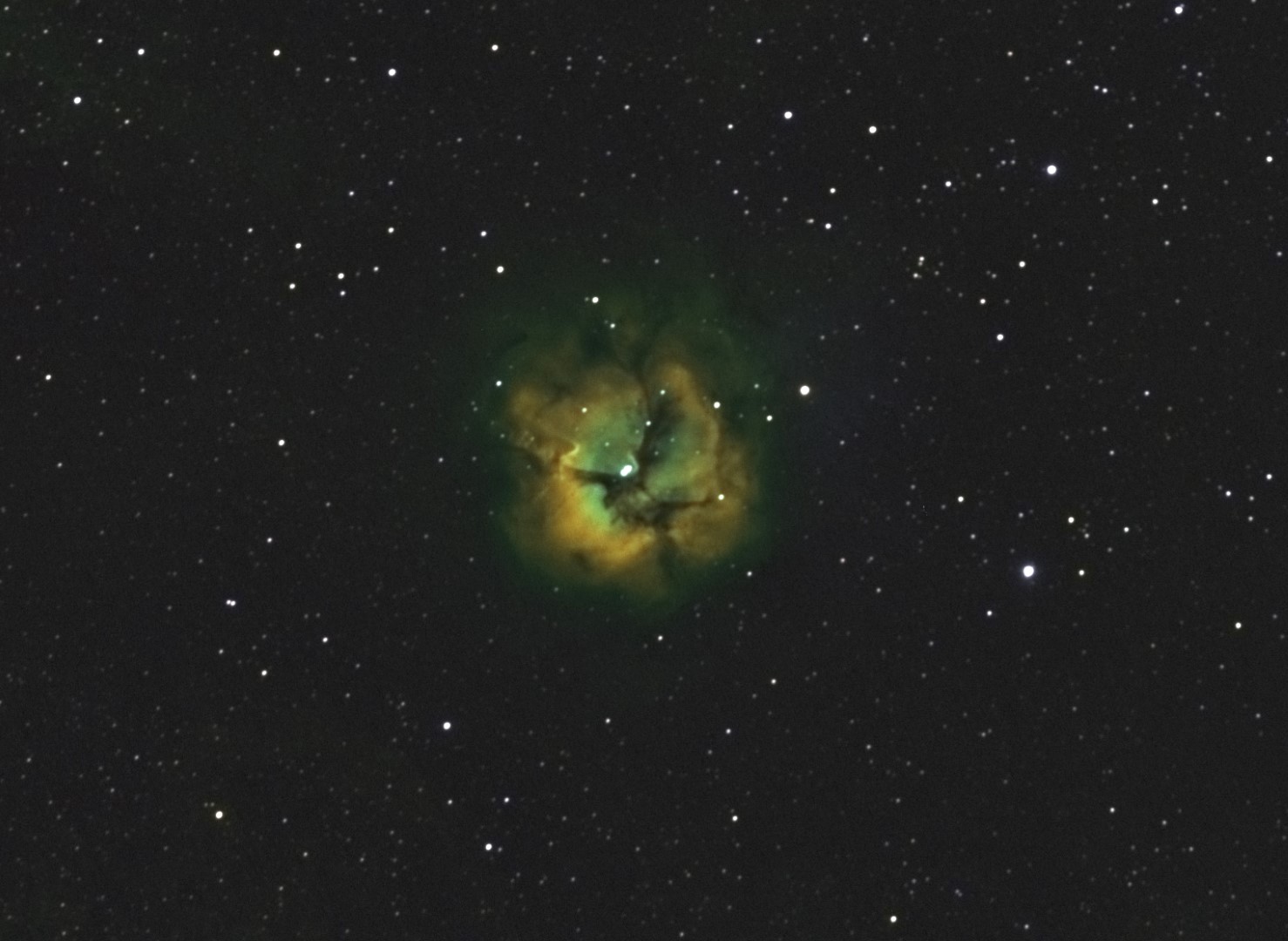 M20 SHO Master GxHP crop (Large)