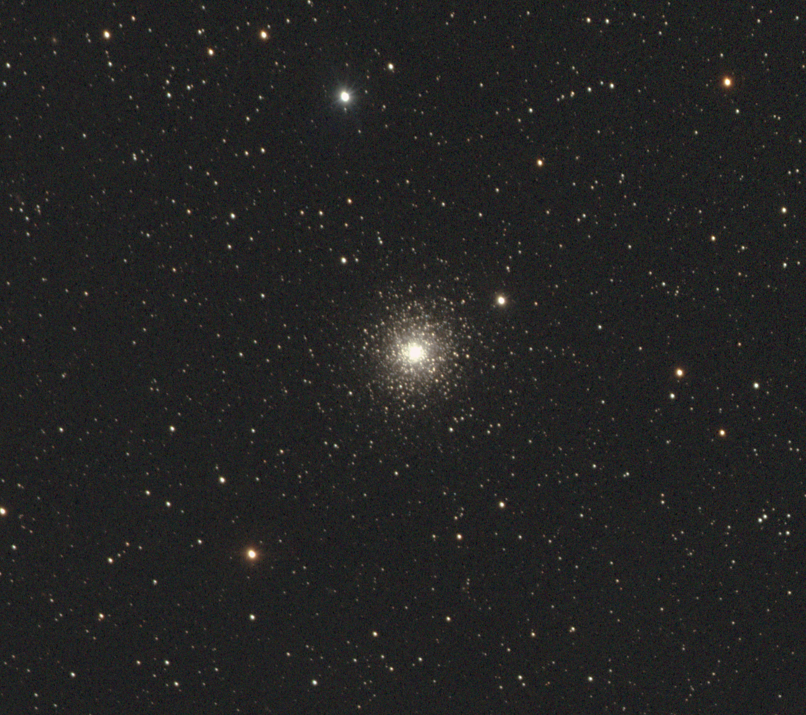 M15 Crop 200817