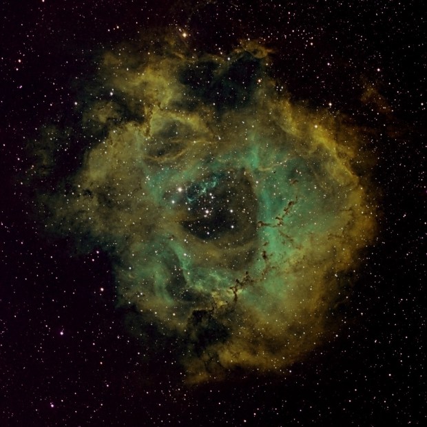 Untitled-2 Crop2 (Large)