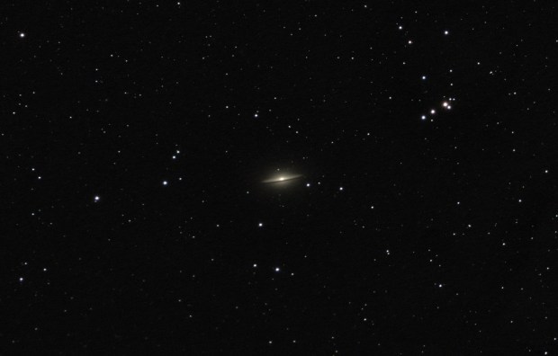 LRGB GxC Crop-2 (Large)