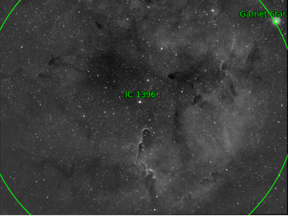 Elephant Location Crop