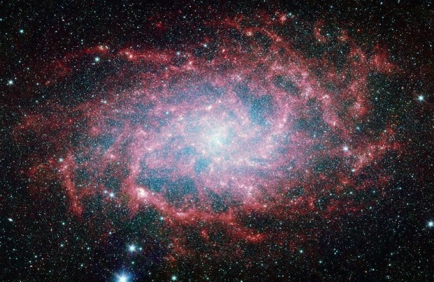 1280px-Spitzer_m33