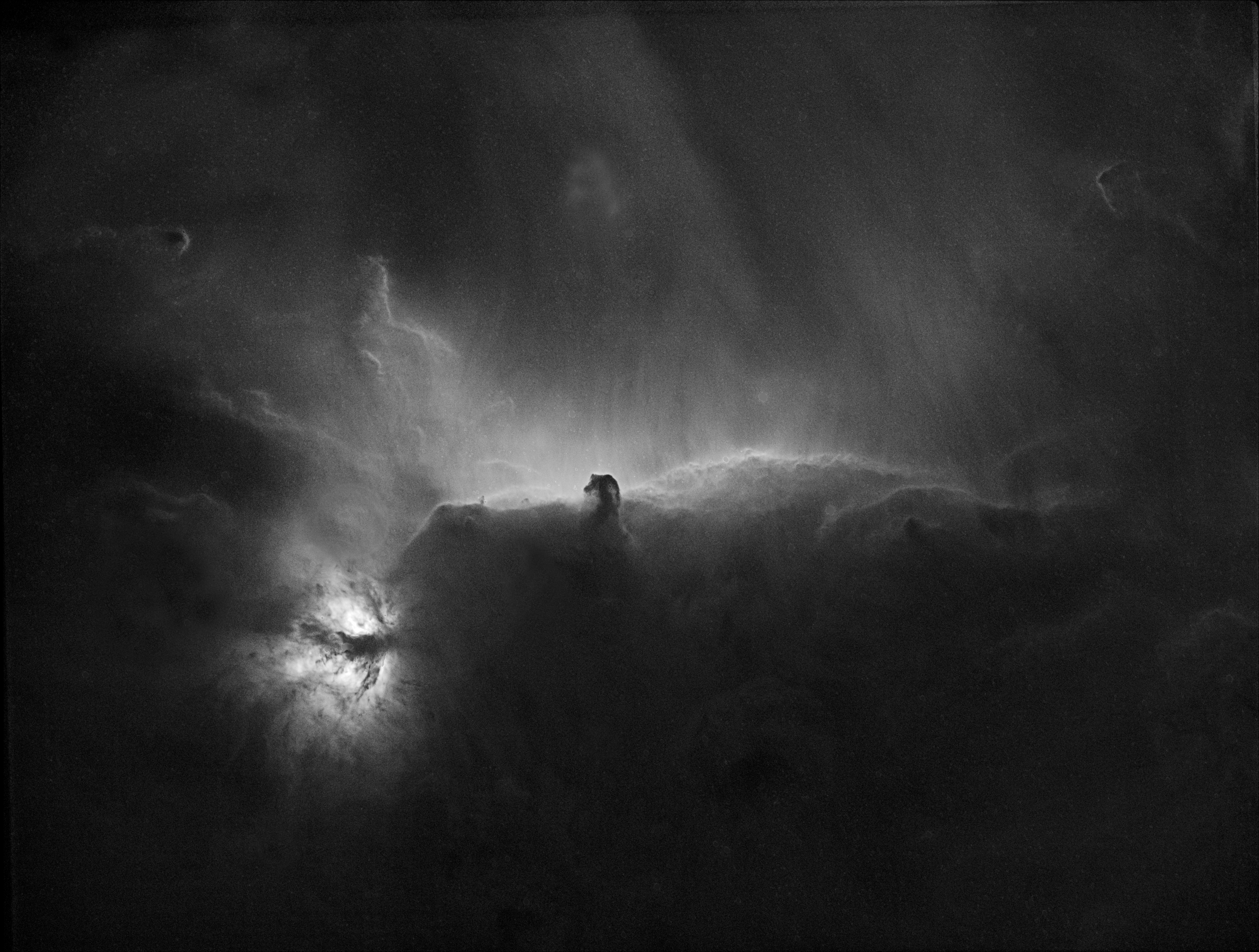 NGC 2024 Ha Starless2