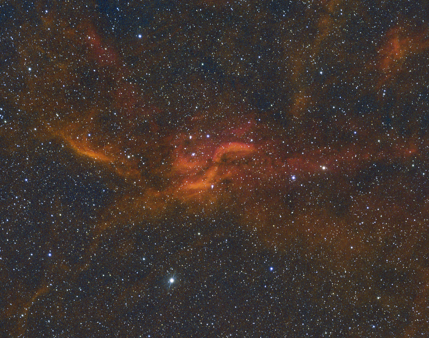 HSO F crop (Large)